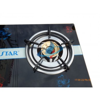 Bếp Gas Bluestar